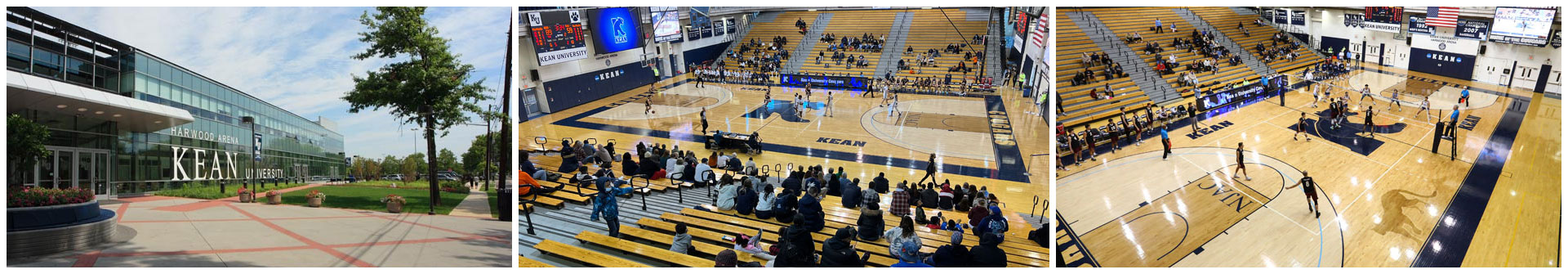 Harwood Arena